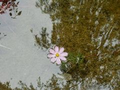 android_upload_pic-沕沕水生态风景区