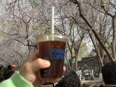 -春风习习