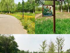 -永定河休闲森林公园