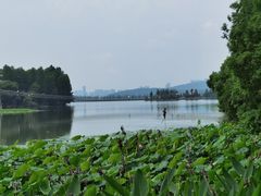 -东湖落雁景区