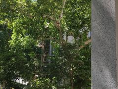 -湖北美术学院(昙华林校区)