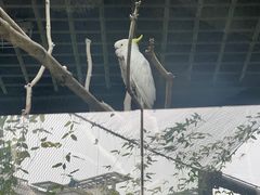 -武汉动物园