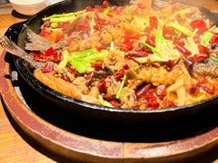 -老板恋上鱼(高新万达店)