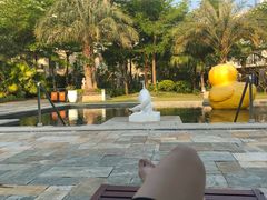 -采粤轩中餐厅(惠州金海湾喜来登度假酒店)