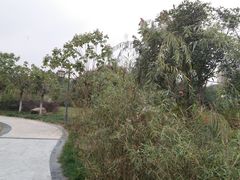 -沙河三洞古桥公园
