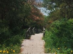 -青龙山国家森林公园