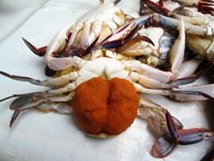 -尼甘布海鲜市场