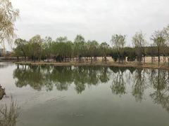 -东郊湿地公园