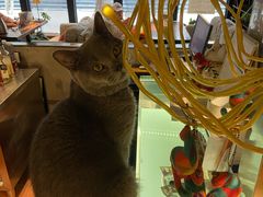 -么么咖啡(燕郊店)