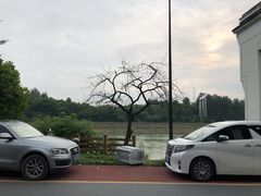 -临江宴餐厅·桐庐菜(富春江店)