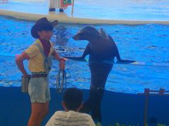 三亚海昌海洋不夜城-三亚海昌梦幻海洋不夜城