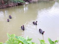 -东莞香市动物园