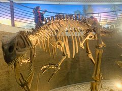 -国家自然博物馆