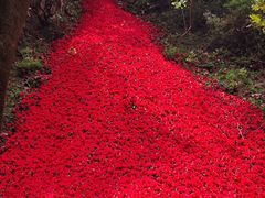 -焦作青龙峡风景名胜区