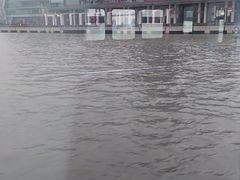 -丹东路渡口(轮渡站)