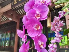 -顺峰山公园