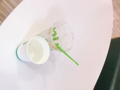 -Salud撒露欧洲冻酸奶(798艺术区店)