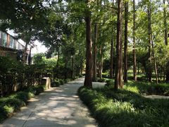 -杭州植物园