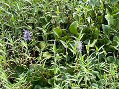 -风云岭森林公园