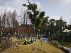 -宁波儿童公园(鄞州区)
