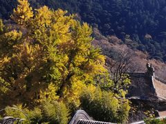 -潭柘寺景区