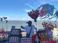 -野狸岛