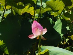 -清漾毛氏文化村