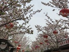 -回龙窝历史文化街区