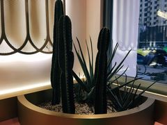 大堂-蜜思琪蛋糕(民生路店)