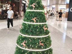 -深圳湾万象城(南山店)