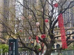 -府河摄影公园