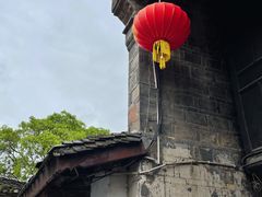 -后柳水乡