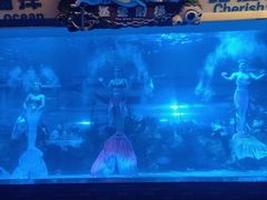 -成都浩海立方海洋公园