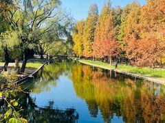 -上海共青森林公园