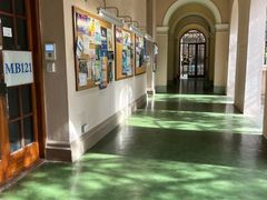 -香港大学