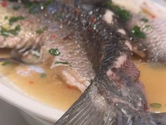 -陶缘一号·四季缘·老字号顺德菜·户外婚礼家宴(西滘店)