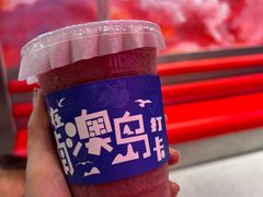 -南澳岛打卡果汁冰公司