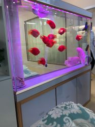 -痘庄科学祛痘国际连锁机构