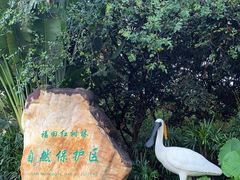 -福田红树林生态公园