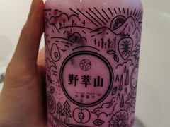 -野萃山·潮汕厚果汁(十亩地店)