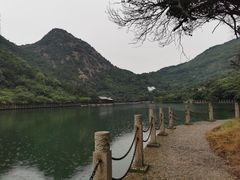 -大罗山风景区