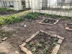 -前小桔亲子创意农场·草莓采摘·露营烧烤