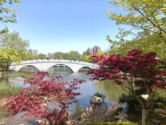 -大连植物园