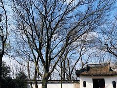 -上海佘山国家森林公园天马山园