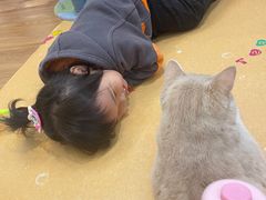 -COLOR PETS 撸猫馆·购猫·猫咖(长风大悦城店)