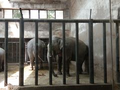 -石家庄市动物园