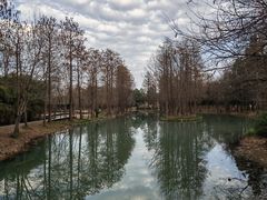 -西溪国家湿地公园