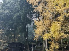 -青城山