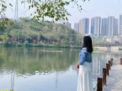 -重庆彩云湖湿地公园