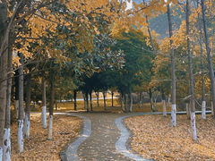 -观山湖公园